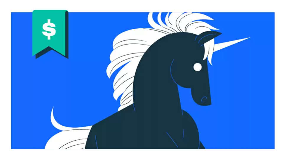 The 10 Unicorns In Silicon Valley In 2024