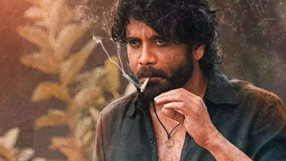 Top 10 Akkineni Nagarjuna Movies List Till 2024