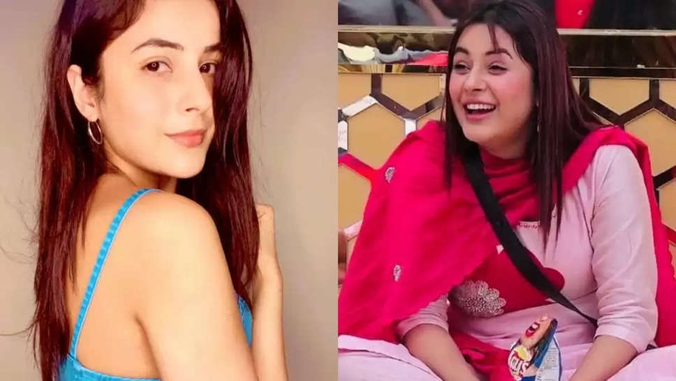 Look At Shehnaz Gill's Amazing Weight Loss Journey