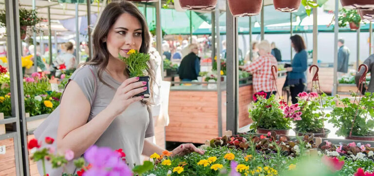 How To Create A Kitchen Garden In Your Mumbai Home