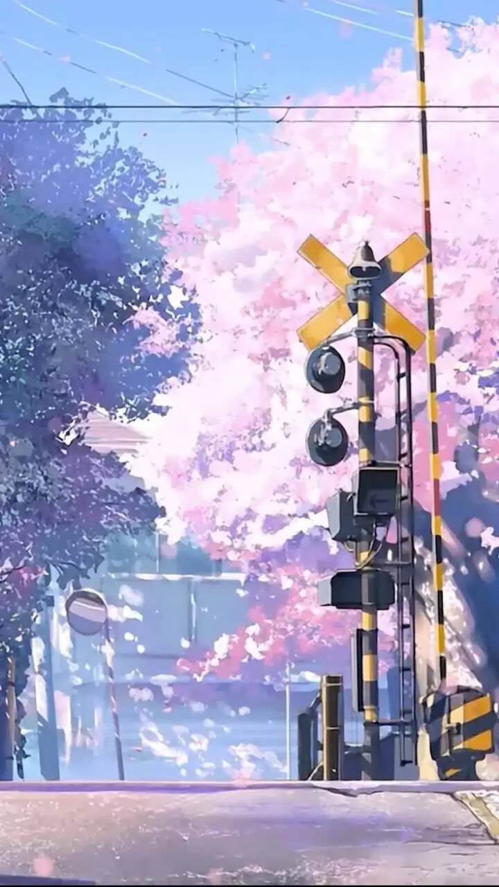 Best Japanese Restaurants In Delhi In 2022