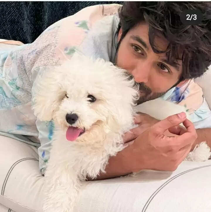 " Why Kartik Aryan named his puppy as Katori Aryan "?