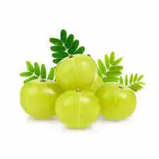 Benefits of Amla for your Hair