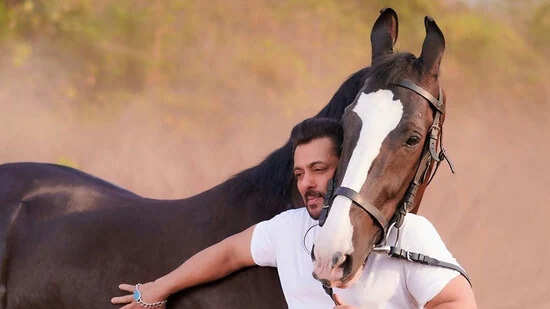 When Salman Khan Offered INR 2 Cr For A Race Horse. What Happened Next Will Shock You