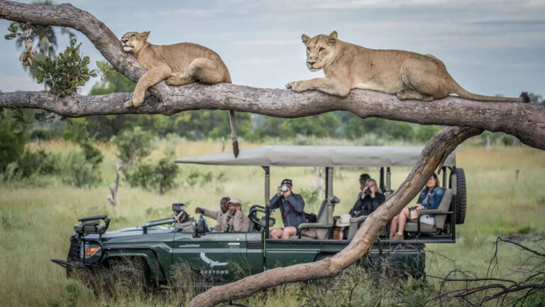 Top 5 Myths About Traveling In Africa