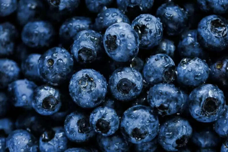 Top 5 Benefits Of Blueberry For Skin