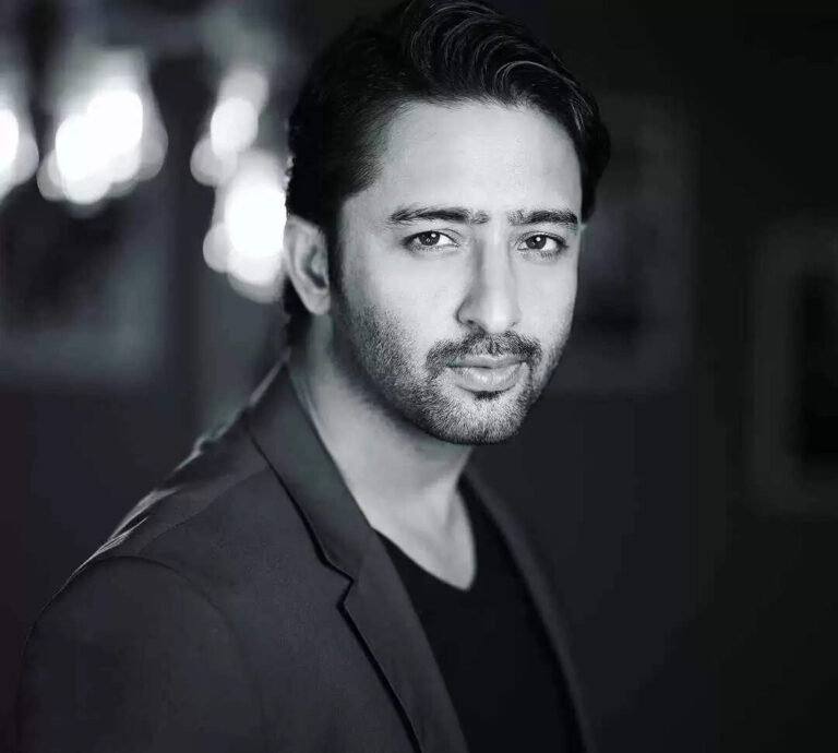 Shaheer Sheikh's Net Worth In 2023 Revealed!