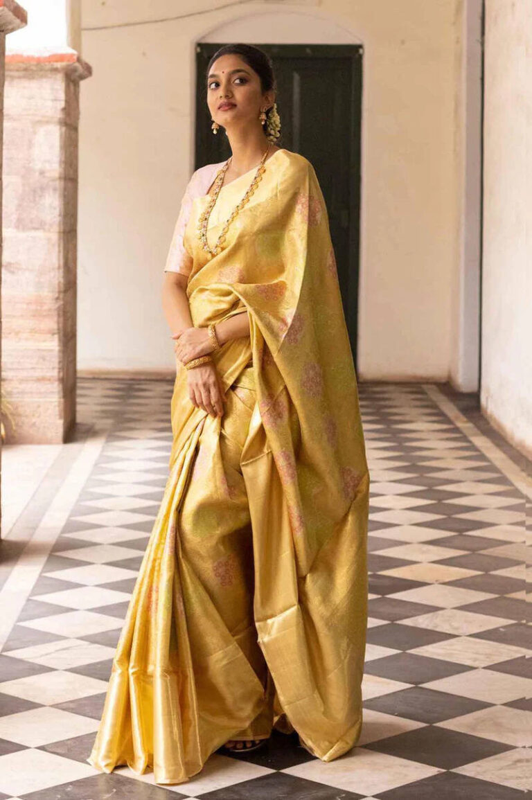 Top 4 Places To Buy Kanchipuram Sarees In Kanchipuram In 2023
