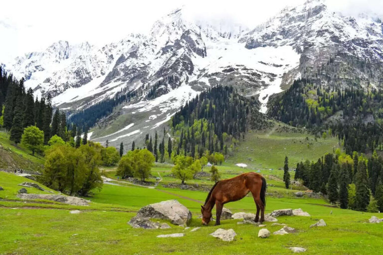Top 10 Places To Visit In Kashmir In 2023