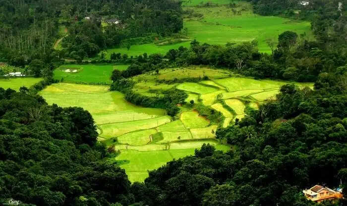 Top 15 Places To Visit In Coorg In 2023