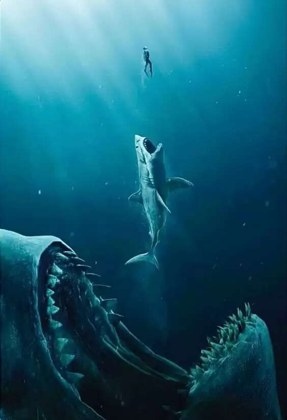 Top 10 Largest Living Creatures In The Sea