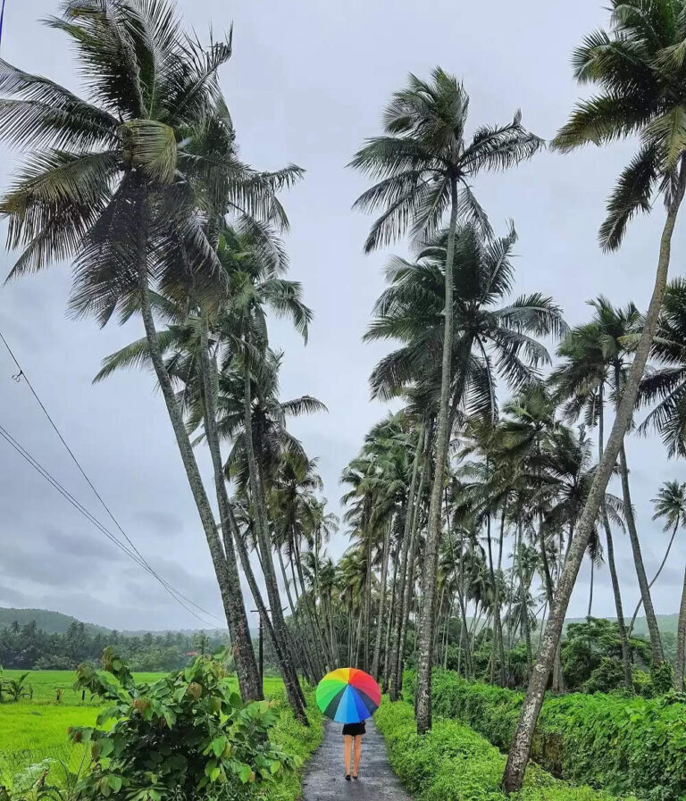 Things To Know About Goa In The Monsoons