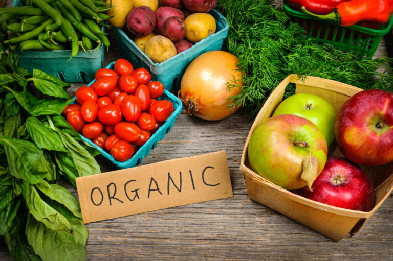 Top 10 Organic Food Brands In India In 2023