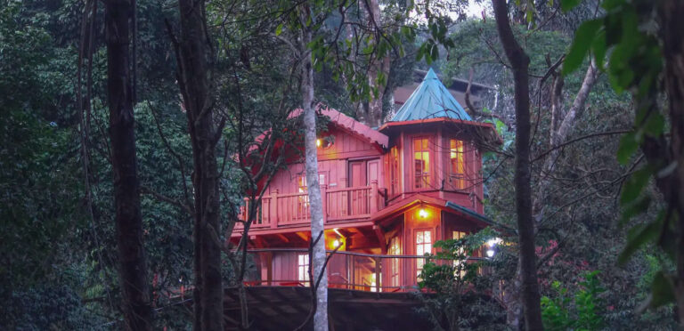 Top 5 Tree House Resorts In Coorg In 2023