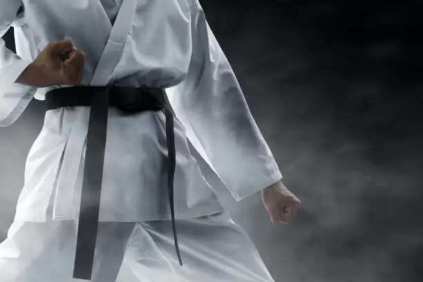 Karate Belt Levels In Order
