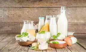 Top 10 Dairy Products In India In 2023