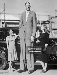 Top 10 Tallest Men In The World In 2023 - 2024