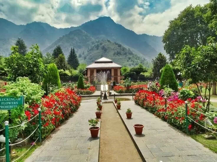 Must Try These 10 Most Popular Activities On Your Kashmir Trip