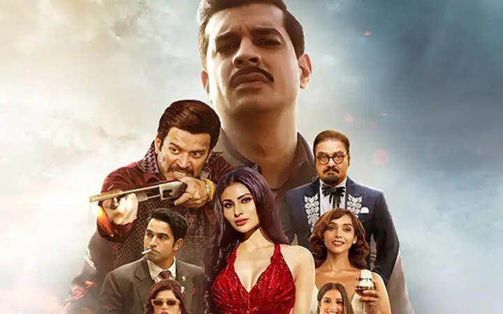 Sultan Of Delhi Web Series Cast, OTT Platform, Explained