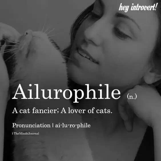 Everything About 20 Philias To Know What ‘Phile’ You Are