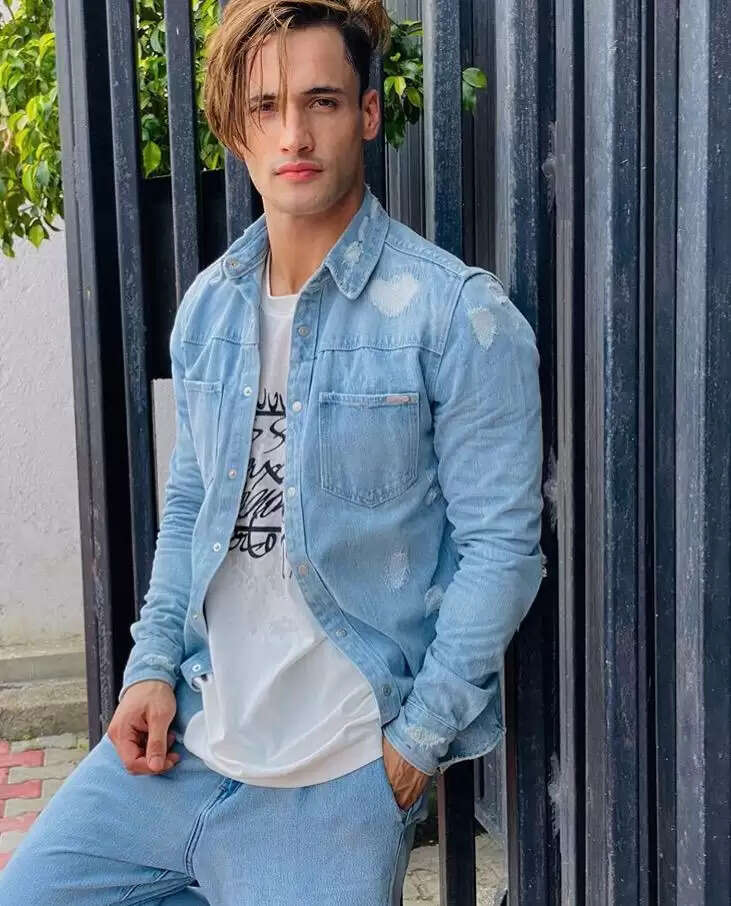 Asim Riaz Movies And TV Shows, Wikipedia, Age, Girlfriend, Family