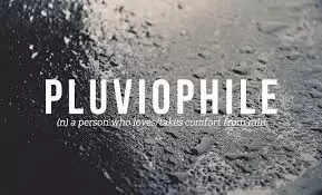 Meaning Of Pluviophile? 6 Interesting Signs You Are One