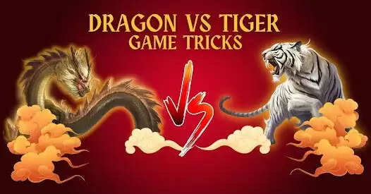 Top 8 Best Dragon Vs Tiger Winning Tricks