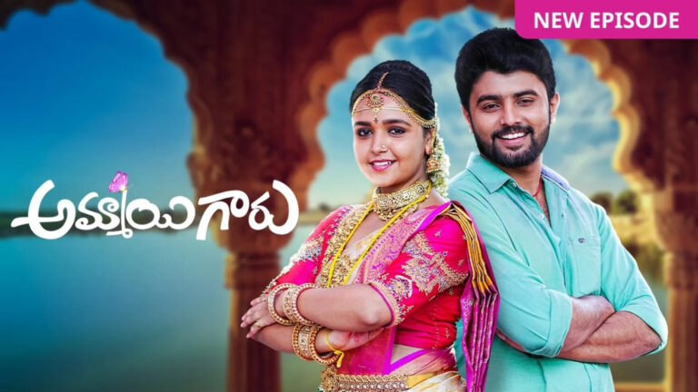 The Leading Faces of Ammayi Garu: