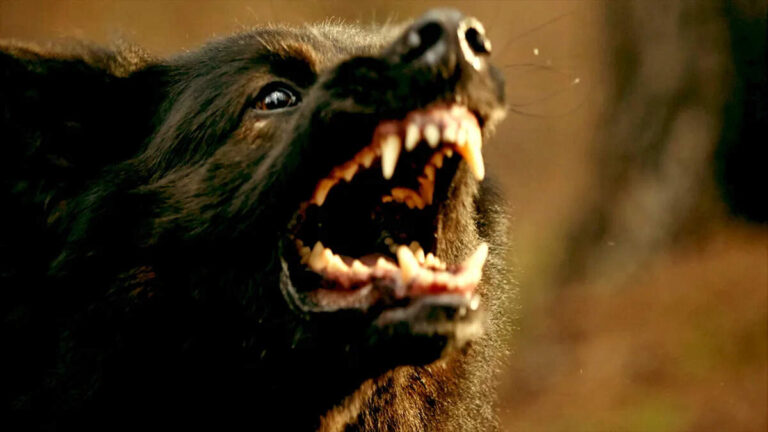 Top 10 Animal Horror Movies