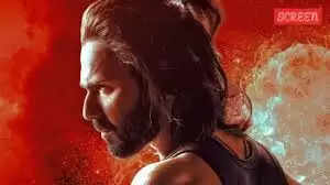 Baby John Box Office Collection Day 2!!!