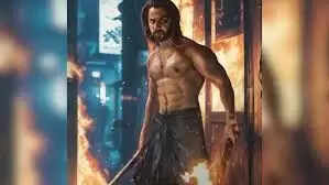 Baby John Box Office Collection Day 7!!!