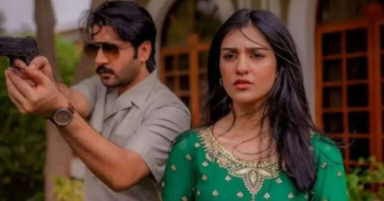 Namak Haram Pakistani Drama Cast And Review