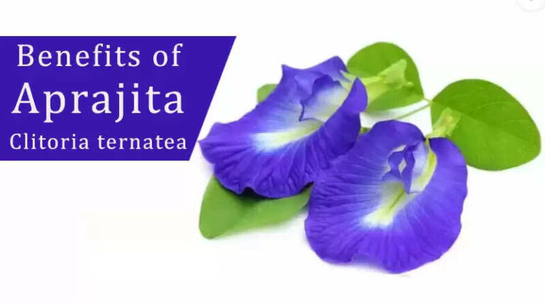Unbelievable Health Benefits of Aprajita Flower
