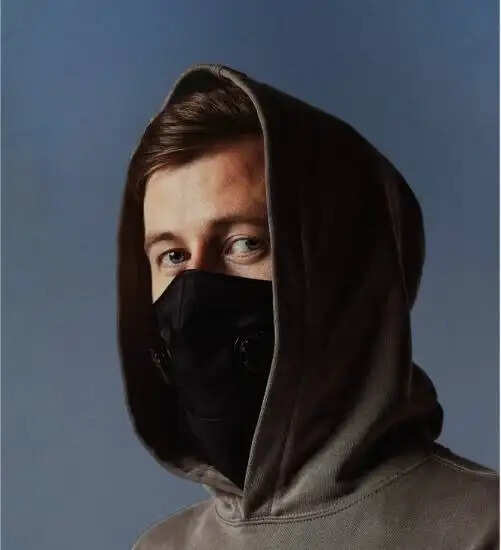 Net Worth Of Alan Walker In 2025