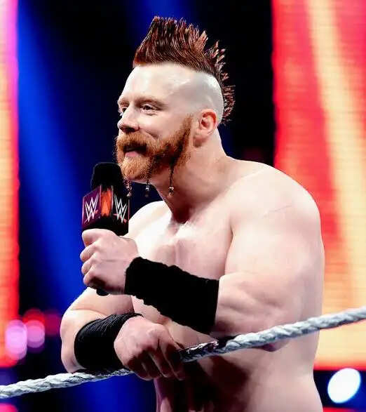 Sheamus Age, Height, Weight, Wife, Net Worth In 2025