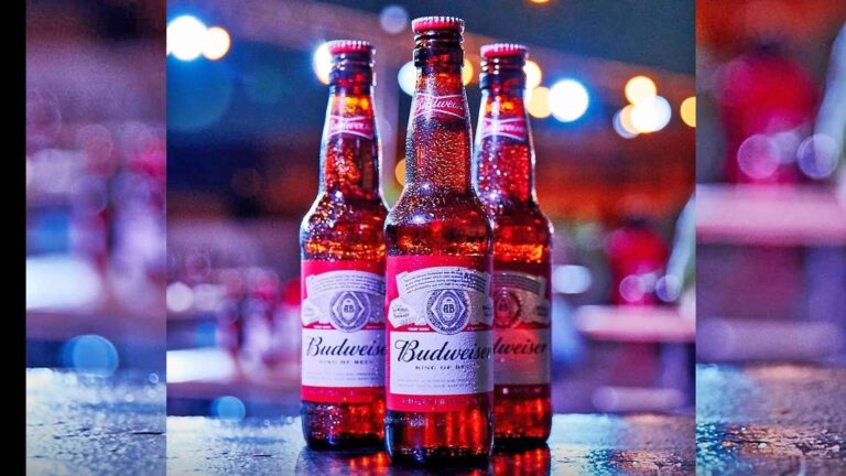 Budweiser Beer Price in Mumbai, Maharashtra