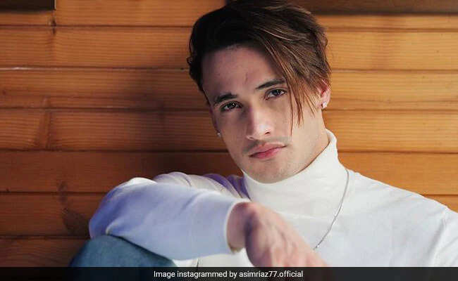 Asim Riaz Biography, Age, Height, Career, Net Worth In 2025