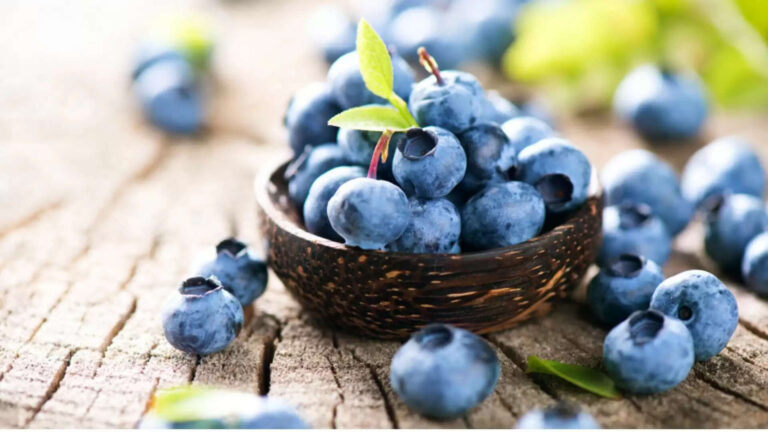 How to Start Blueberry Farming in India: Setup Cost, Investment, Profit In 2025