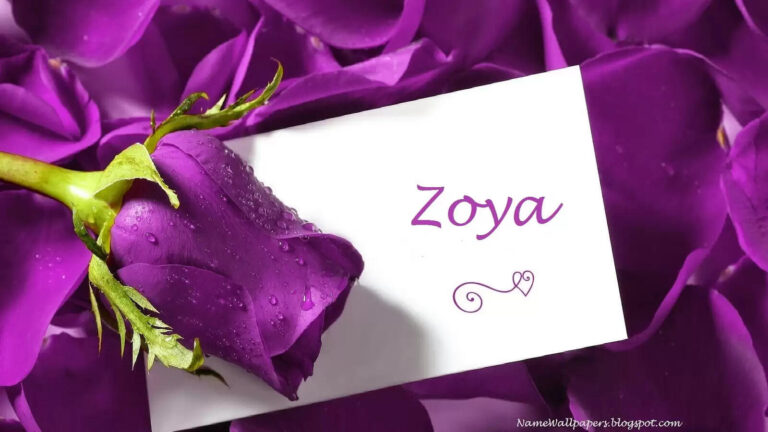 Zoya - Islamic Girl Name Meaning and Pronunciation