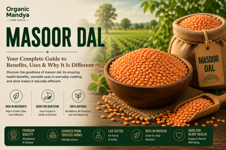 Masoor_Dal__Your_Complete_Guide_to_Benefits_Uses_Why_It_Is_Different_85cef886-0537-4a79-8cc5-f058f51b73e5