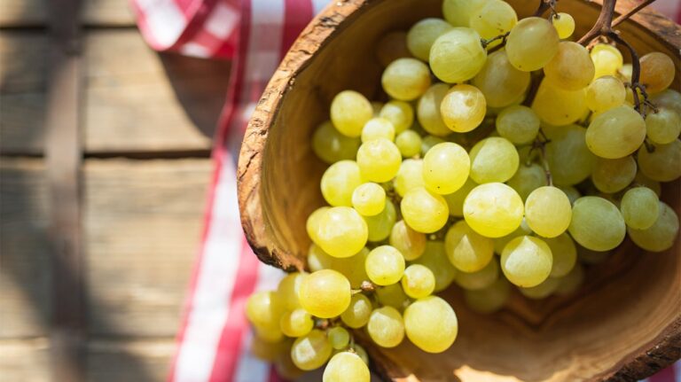 grapes-1296x728-header